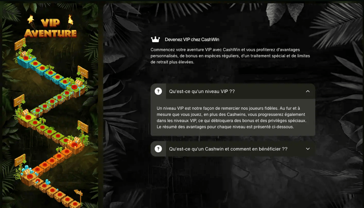 vip programm cashwin casino